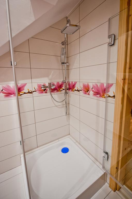 Salamandra Kościelisko Cameră foto